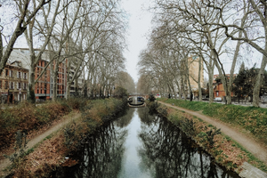 Lutte contre les nuisibles Toulouse
